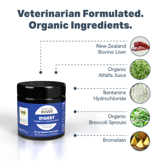 Digest - Digestive Enzymes And Probiotics For Dogs