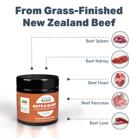 Guts & Glory - Grass-fed Organs For Dogs