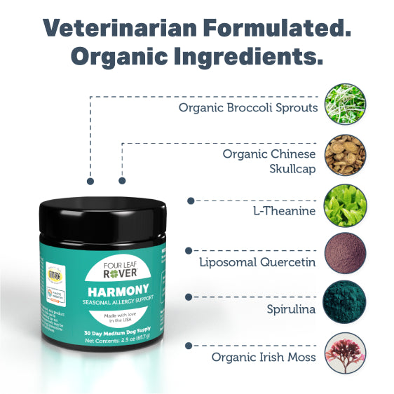 Harmony - Natural Skin Care For Dogs